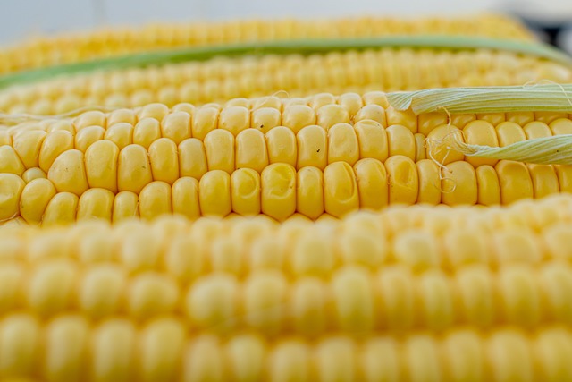 Fra gasflaske til grill: Sådan fungerer propan